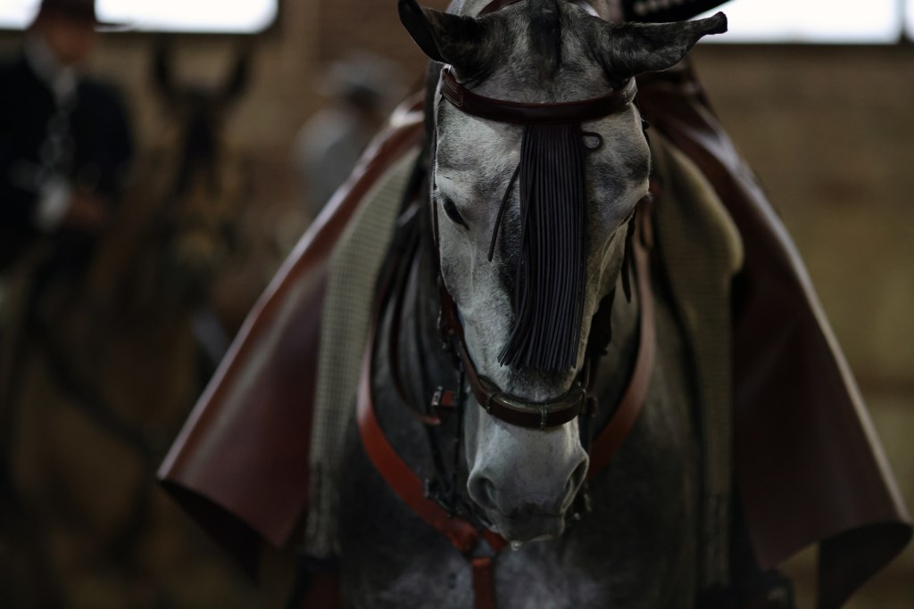 Christmas Cup with Córdoba&nbsp;Ecuestre